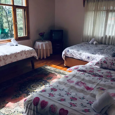 Duru Villa *