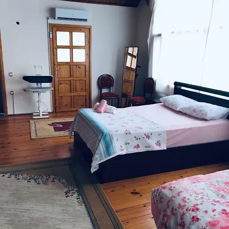 Villa Duru *