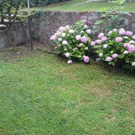 Duru Balkaya (Sakarya)